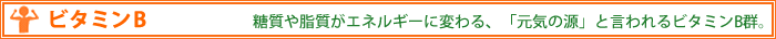�ӥ��ߥ�B�����������������ͥ륮�����Ѥ�롢�ָ����θ��פȸ�����ӥ��ߥ�B����