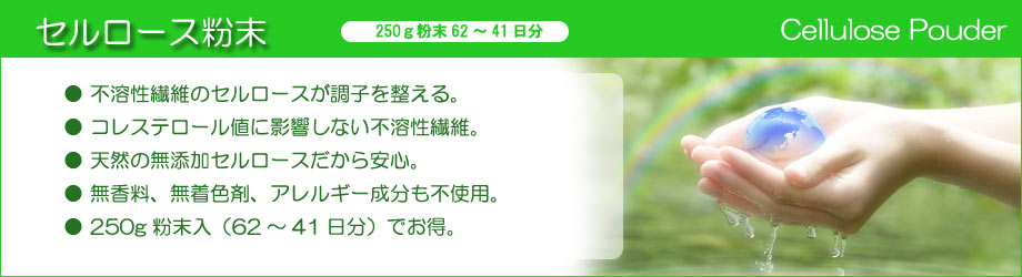 セルロース説明