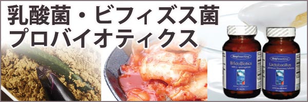 乳酸菌ビフィズス菌プロバイオティクス