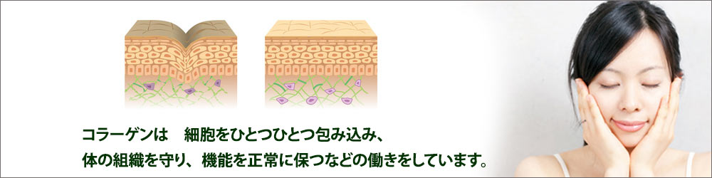 コラーゲン