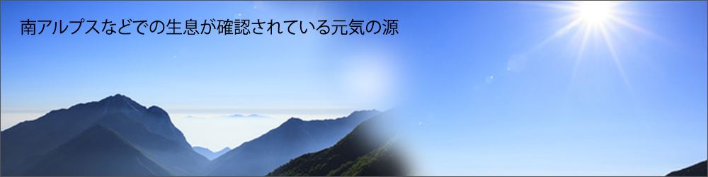 タイツリオウギ入りサプリメント