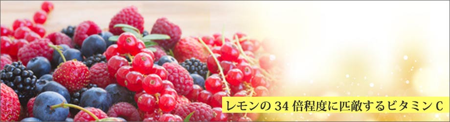 アセロラ入りサプリメント