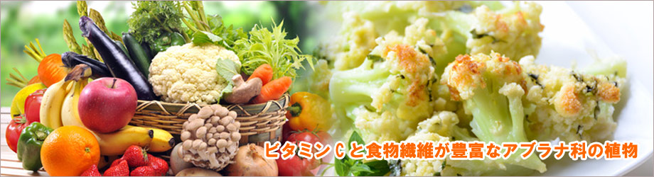 カリフラワー
