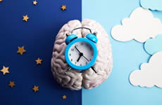 体内時計が整うと、腸や代謝も変わる？