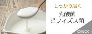 乳酸菌ビフィズス菌
