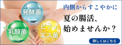乳酸菌