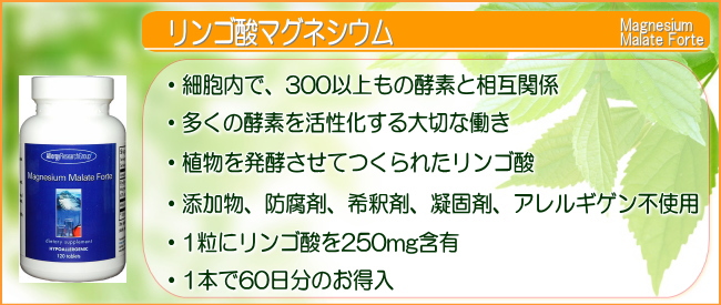 酵素と細胞のマグネシウム