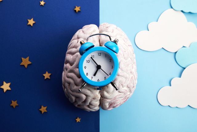 the_gut_and_the_ body_clock