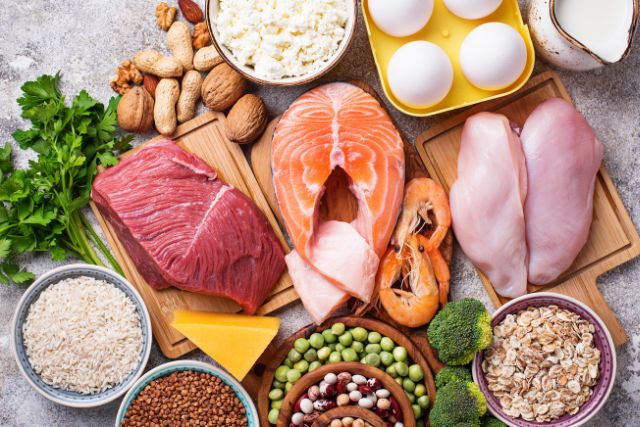 The_function_of_ digestive_enzymes